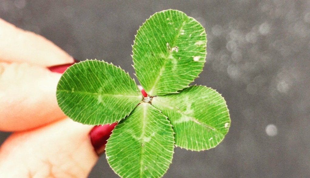 Horoskop za 13. jun: Škorpije u pregovorima, Blizanci zatajili, a ovaj znak danas MORA da bude oprezan, jedna greška dovodi do haosa