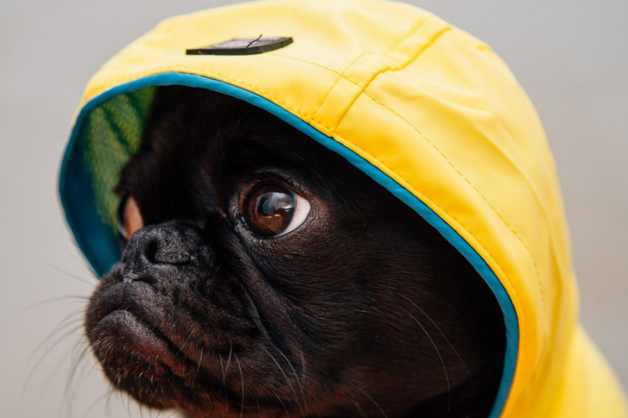 Horoskop za 16. jun: Bikovi ulaze u crveno, Ribe u neprijatnoj situaciji, a ONI su danas pred veliki gubitkom