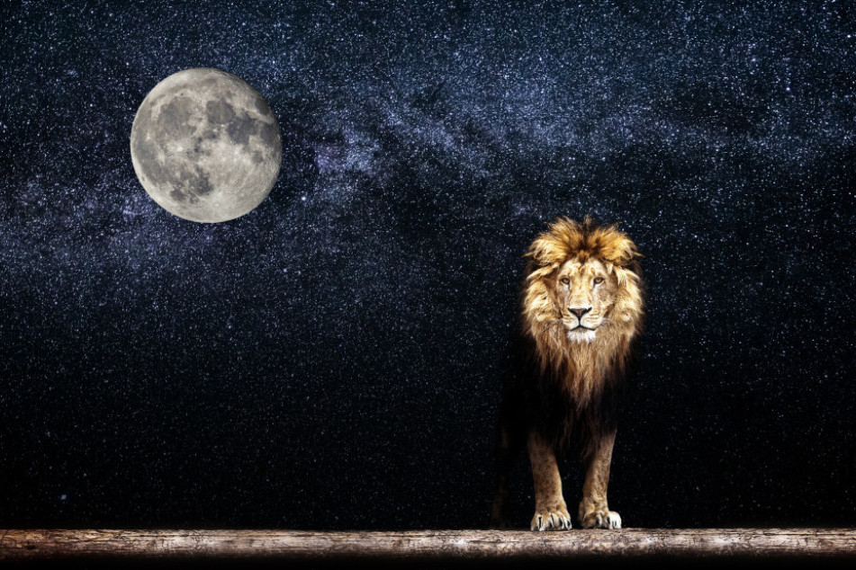 Danas počinje mlad Mesec u Lavu: Jedni će preispitivati svoju vezu, drugi će razmišljati o proširenju porodice