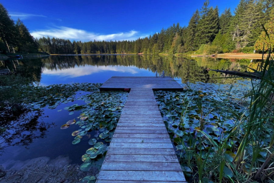 Horoskop za 23. avgust: Ribe pokreću osetljive teme, Škorpije u zabranjenoj zoni doživljavaju razočaranje, Rakovi privlače kao magnet