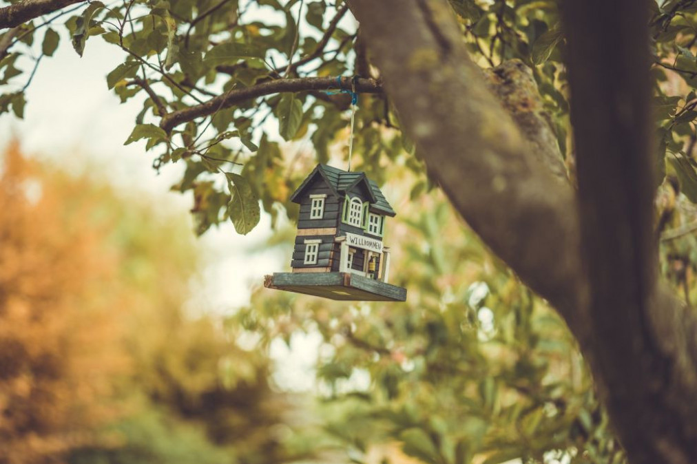 Nedeljni horoskop do 13. oktobra: Lavu se smeši uspeh, Blizanci uživaju u porodičnoj harmoniji