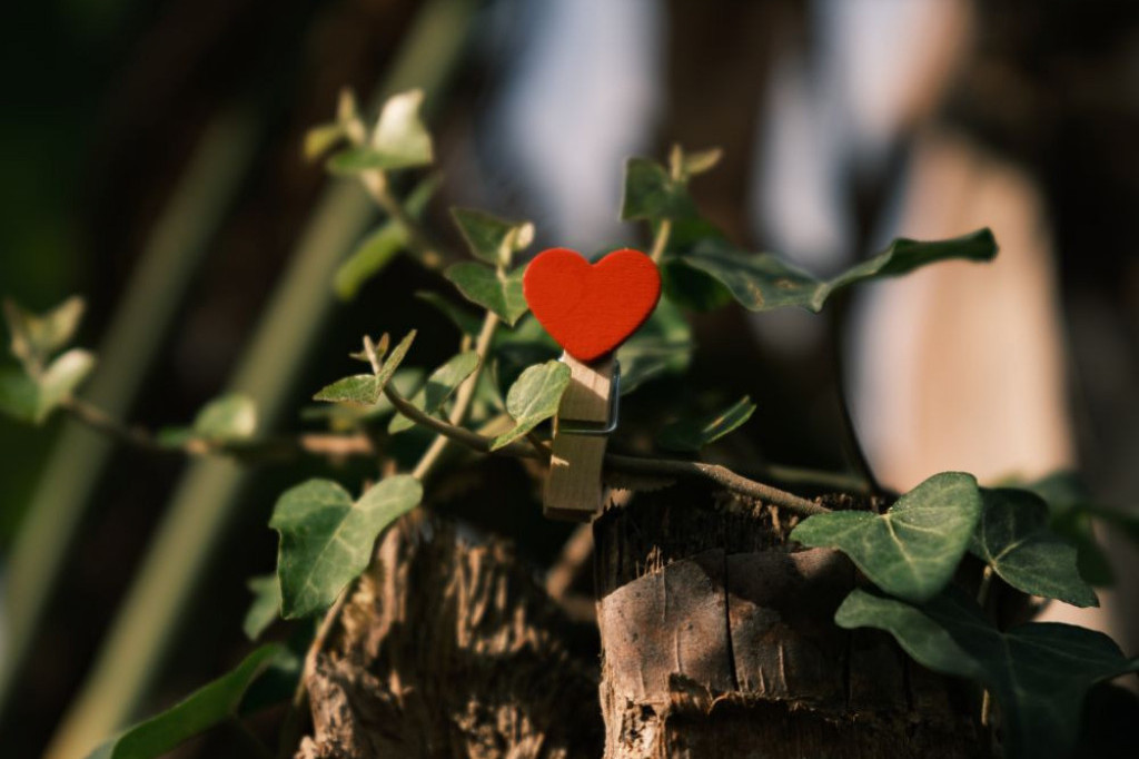 Horoskop za 24. septembar: Impulsivne reakcije ne idu u prilog Raku, Strelac deluje zavodljivo i privlačno