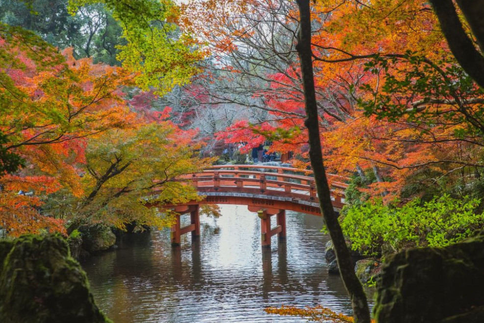 Detaljan nedeljni horoskop do 17. novembra: Blizanci uživaju uz voljenu osobu, Lavovima je uspeh na dohvat ruke
