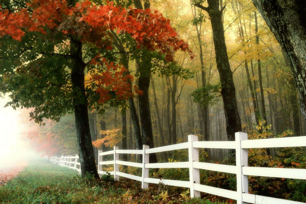 Horoskop za 11. novembar: Vodolija se opterećuje pogrešnim idejama, Devica bi trebalo da prihvati poslovni kompromis