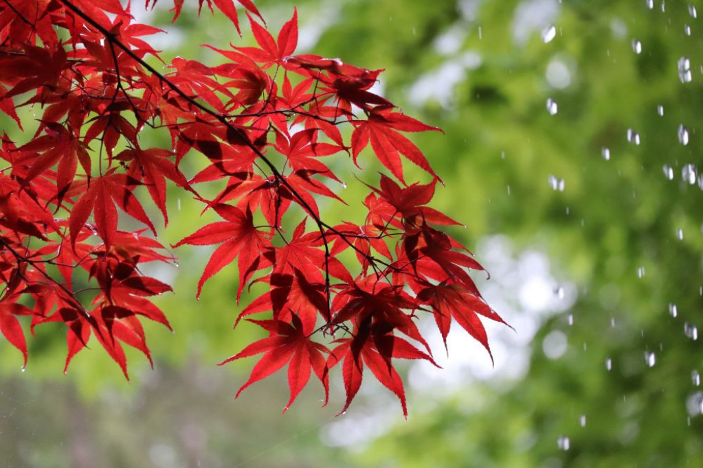 Horoskop za 28. avgust:  Ovan brine bez razloga, Blizanci neka povedu računa o ishrani