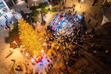 Magija je stigla u Portonovi: Svečanim paljenjem preko 20000 lampica na jelci počela praznična sezona