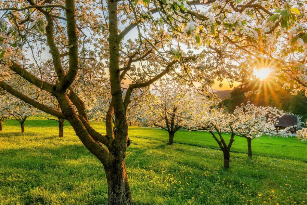 Horoskop za 31. avgust: Bikove očekuje prijatno iznenađenje, Blizance pogađa nečija nekorektnost