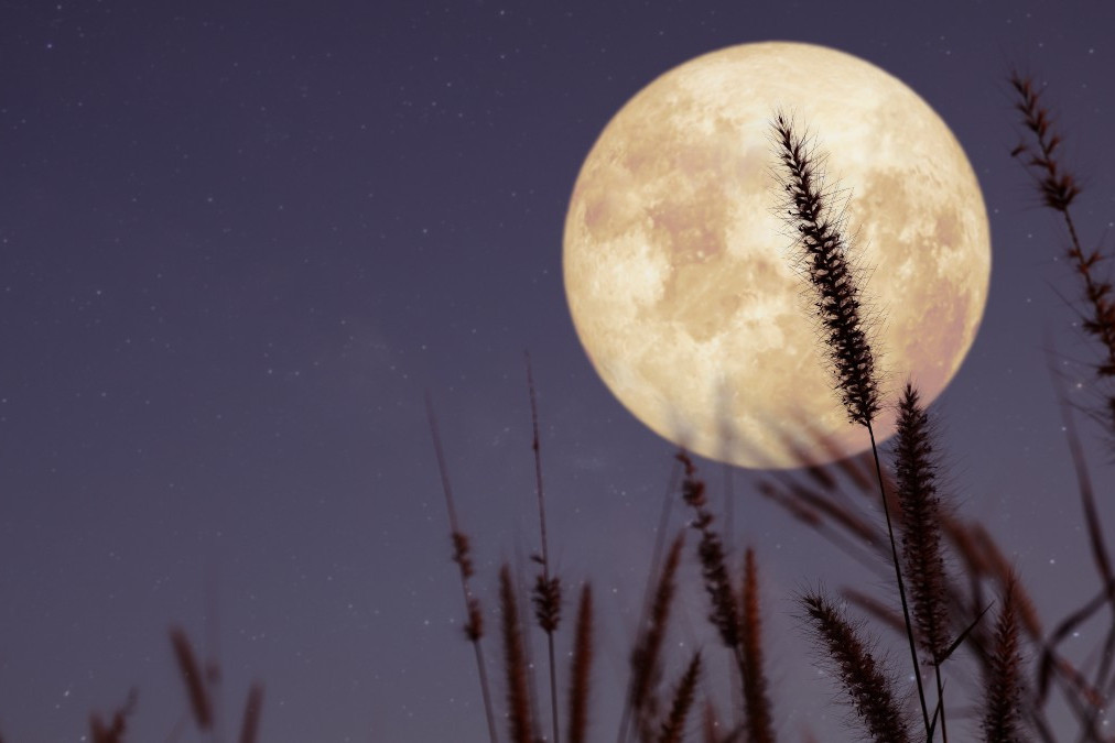 Mesec je ušao u znak Lava: Do 19. septembra jedan znak biće pod stresom