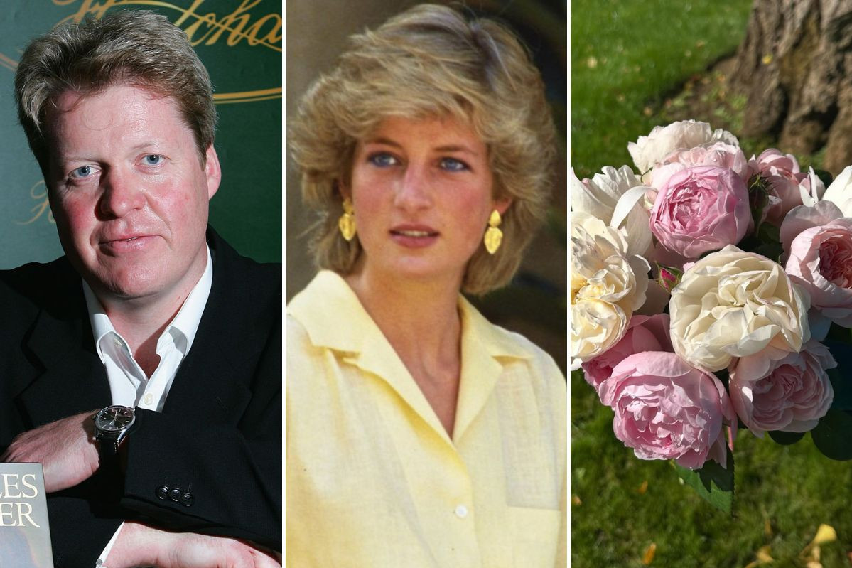 Brat princeze Dajane oglasio se na 28. godišnjicu njene smrti, ovo niko nije očekivao