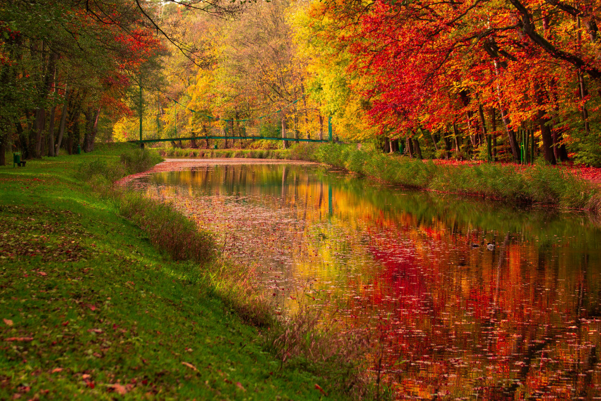 Horoskop za 16. oktobar: Riba ubija ljubav pesimizmom, Lav nema konkurenciju na poslu