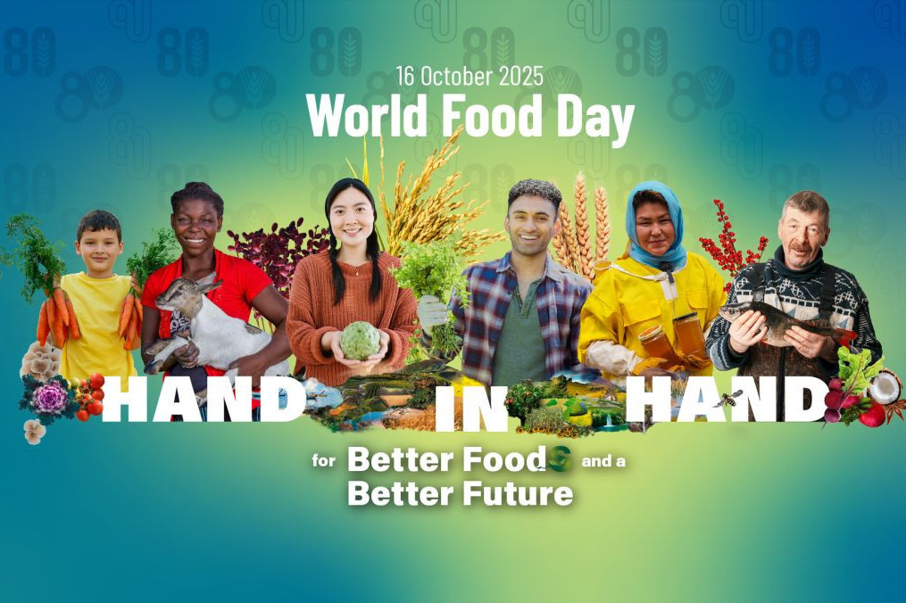 Iz Srbije u svet: Biser Nutri Akademija kao primer dobre prakse u edukaciji o ishrani