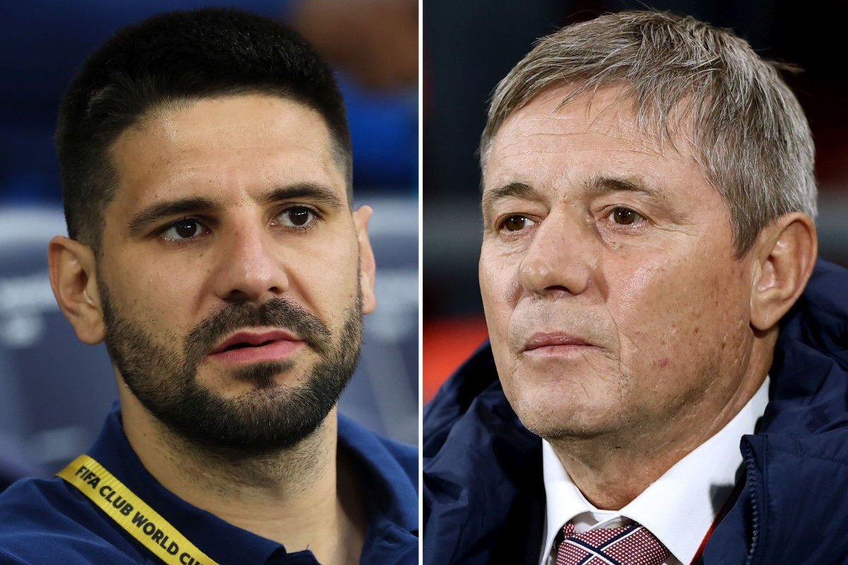 Aleksandar Mitrović se oglasio zbog Piksija: Nesrećan kraj za njega, uradio je neke stvari...