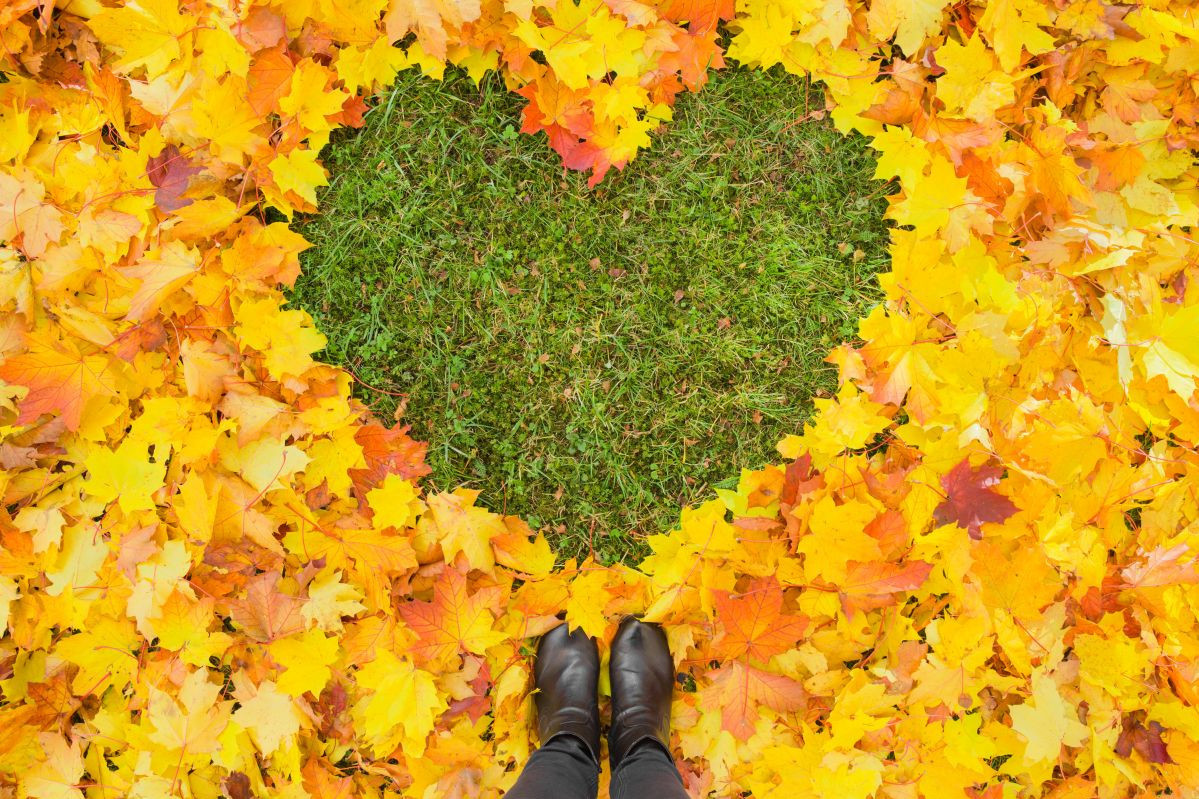 Horoskop za 17. novembar: Ribe veruju svom osećaju, Vage nestrpljive, Rak na dijeti